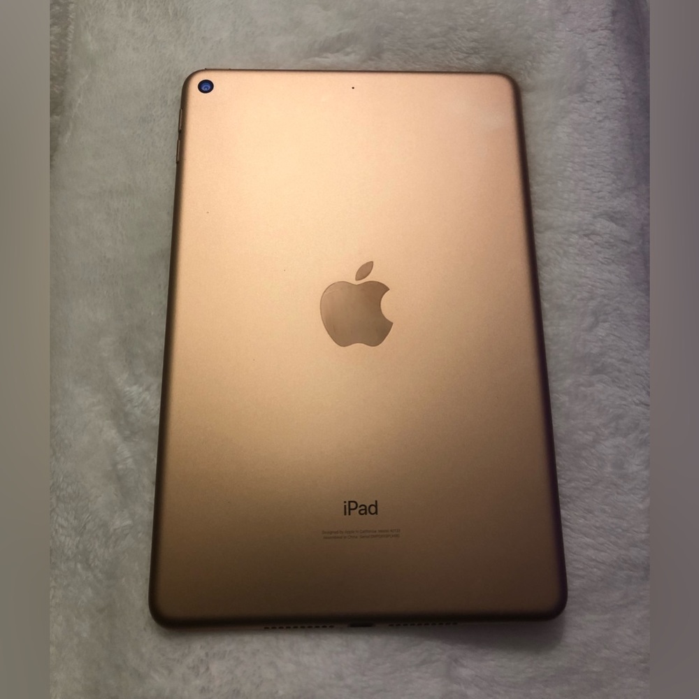 iPad mini 5. (256 GB)
Excellent condition.
+Case.